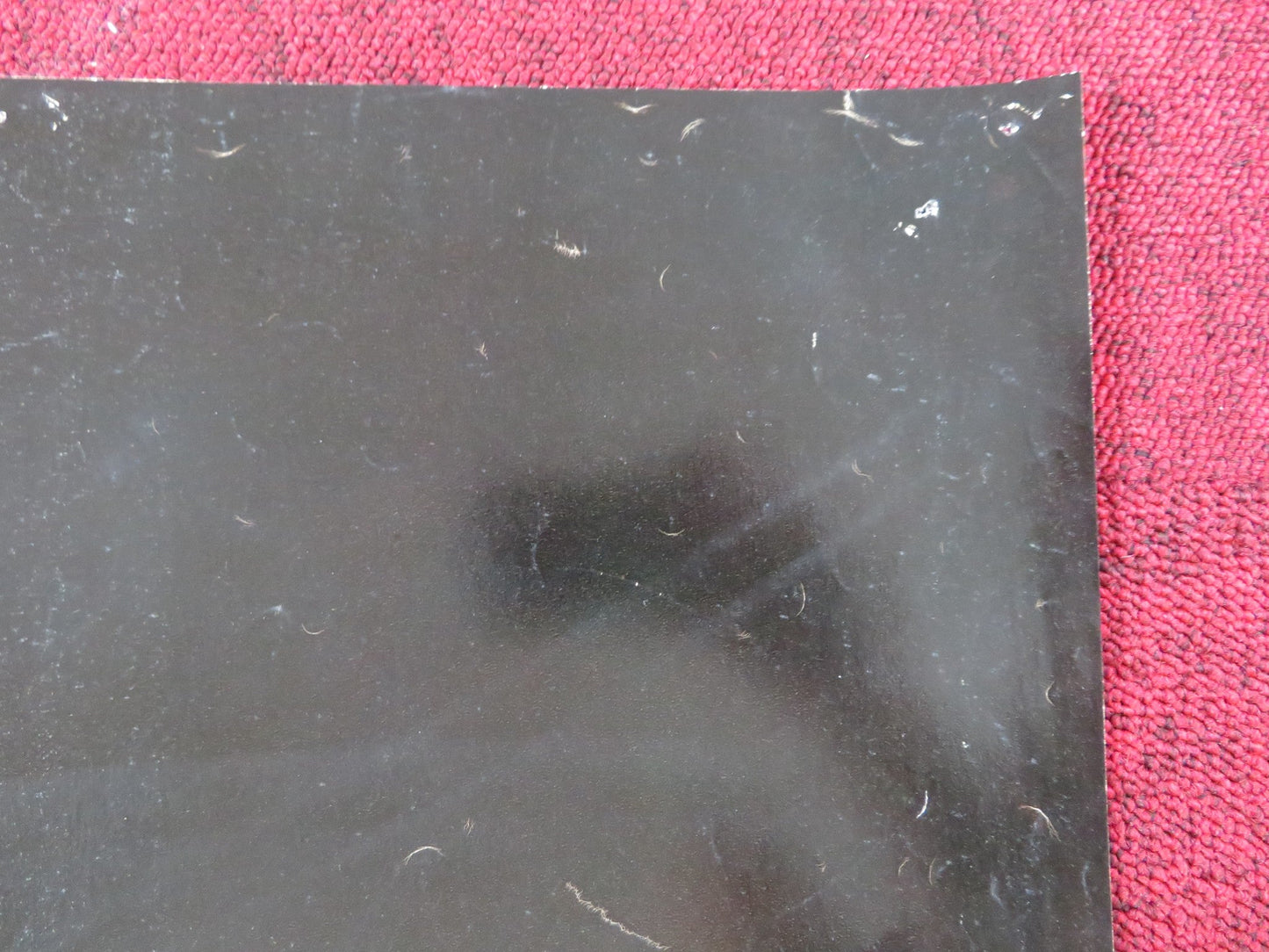 KITTY TIPPEL ITALIAN FOGLIO POSTER MONIQUE VAN DE VEN RUTGER HAUER 1975 Rendezvous Cinema Movie posters