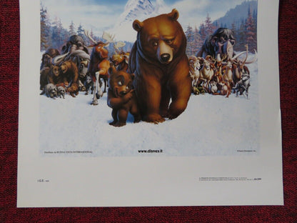 KODA FRATELLO ORSO ITALIAN LOCANDINA (27.5"x13") POSTER DISNEY PHIL COLLINS '03 - Rendezvous Cinema