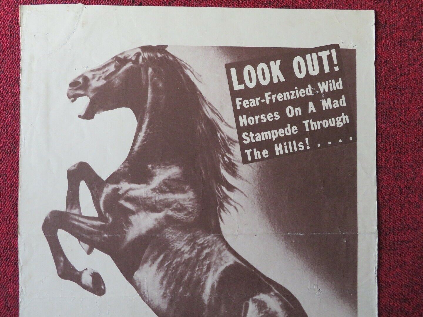 KONGA THE WILD STALLION US INSERT (14"x 36") POSTER FRED STONE1951 Movie posters
