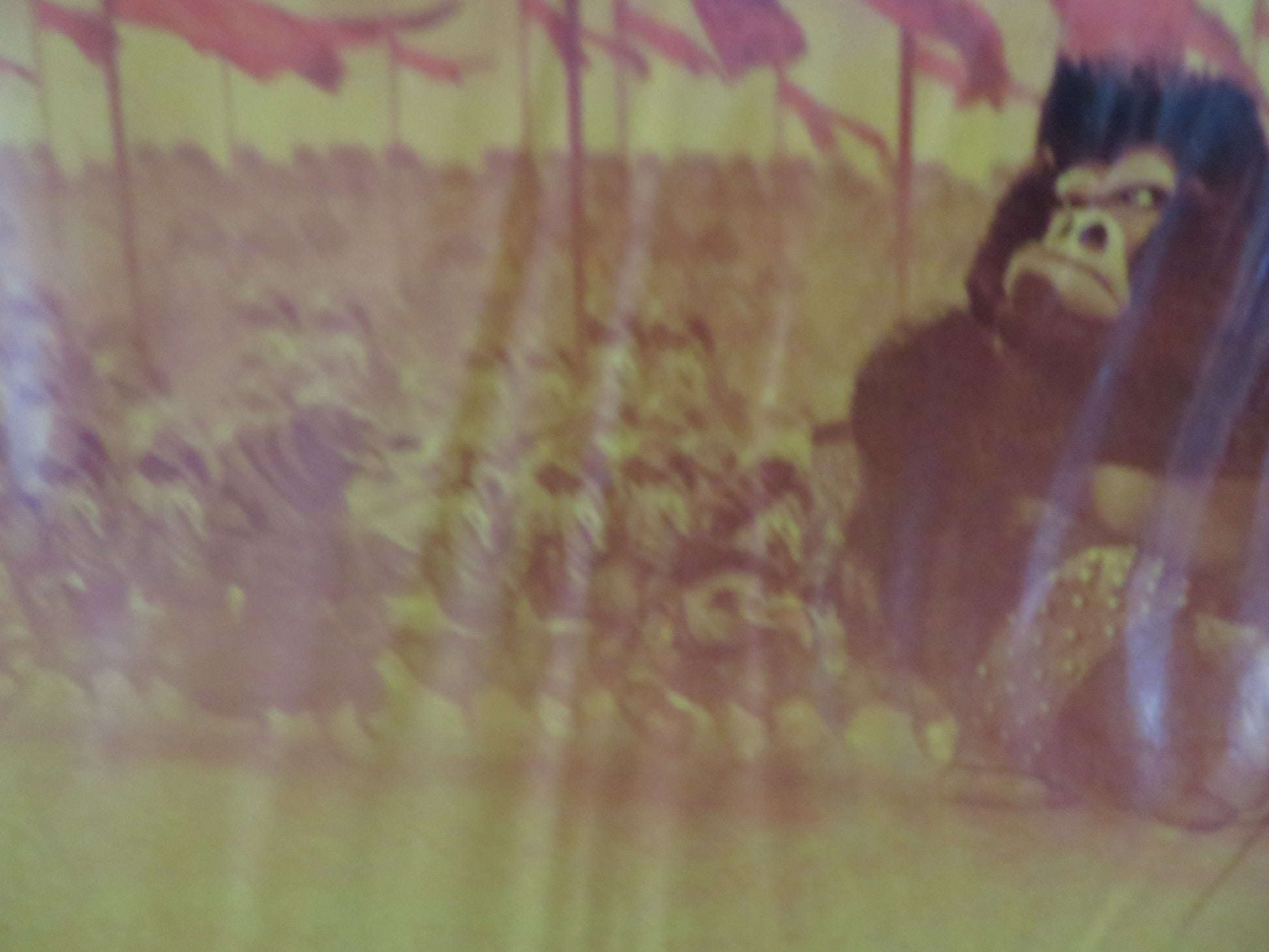 KUNG FU PANDA 2 UK QUAD (30"x 40") ROLLED POSTER JACK BLACK ANGELINA JOLIE 2011 Rendezvous Cinema Movie posters