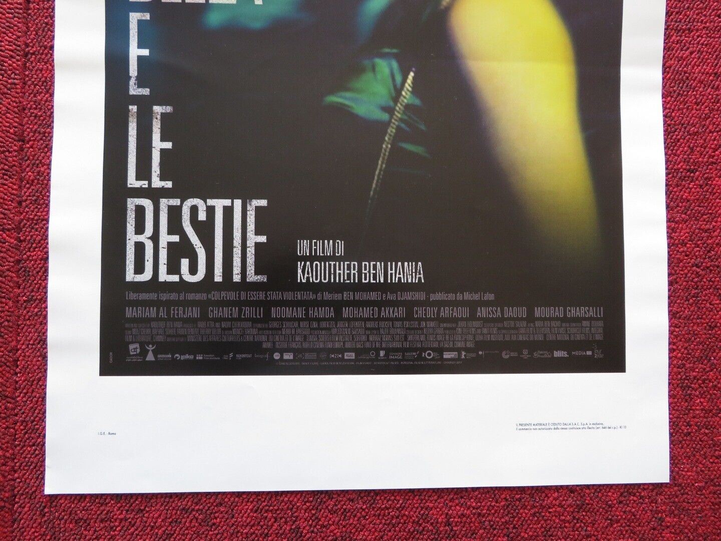 LA BELLA E LE BESTIE ITALIAN LOCANDINA (27.5"x13") POSTER MARIAM AL FERJANI 2017 Movie posters