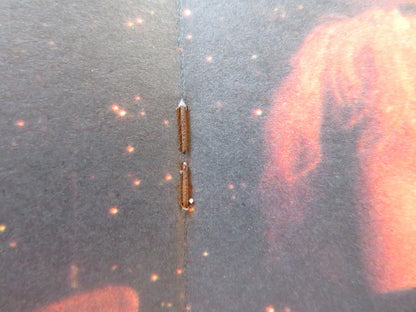 LA CAGE AUX FOLLES 3 JAPANESE BROCHURE / PRESS BOOK MICHAEL SERRAULT UGO TOGNAZZ Rendezvous Cinema Movie posters