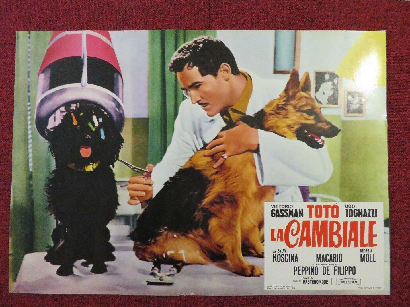 LA CAMBIALE ITALIAN FOTOBUSTA POSTER VITTORIO GASSMAN SYLVA KOSCINA 1959 Movie posters