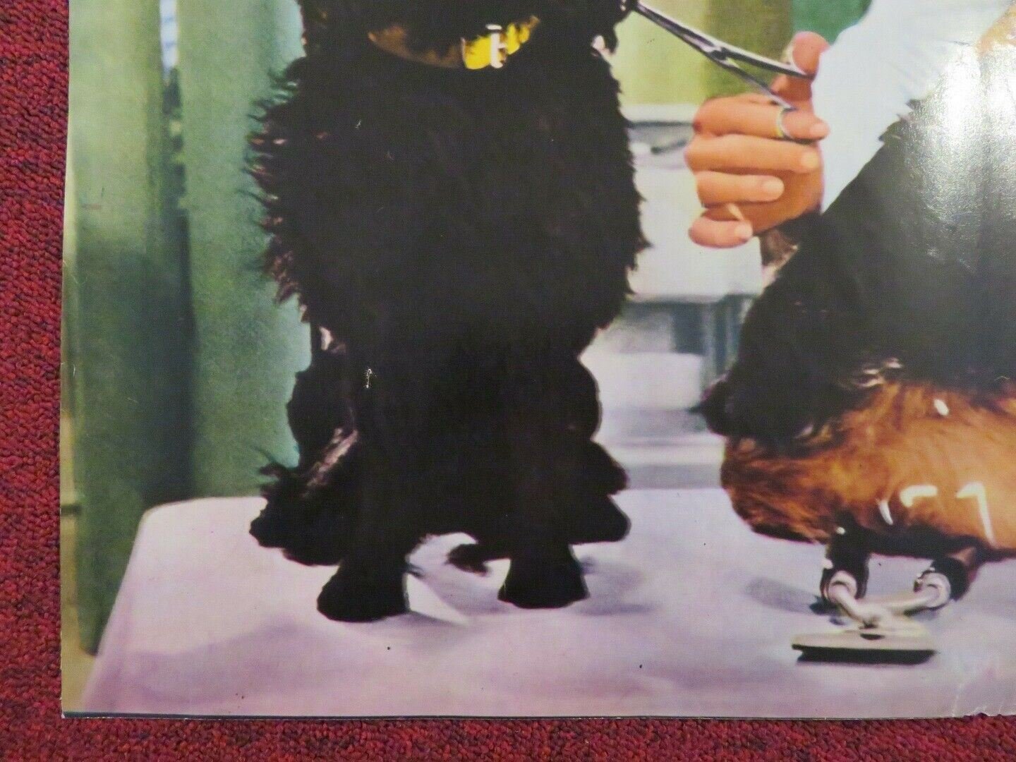 LA CAMBIALE ITALIAN FOTOBUSTA POSTER VITTORIO GASSMAN SYLVA KOSCINA 1959 Movie posters