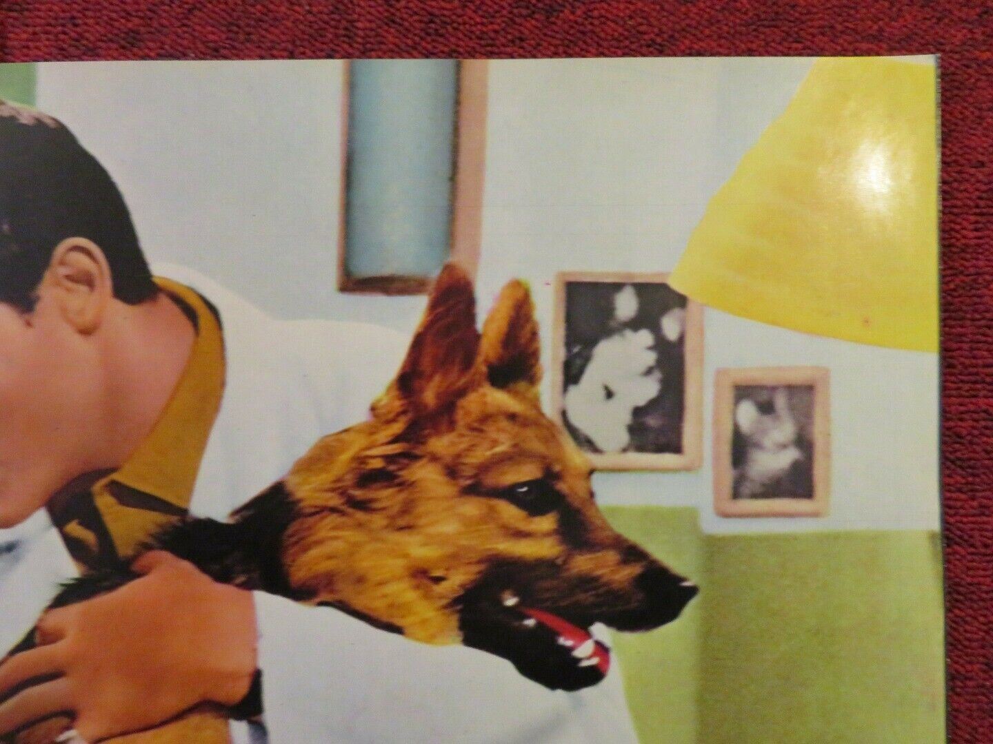 LA CAMBIALE ITALIAN FOTOBUSTA POSTER VITTORIO GASSMAN SYLVA KOSCINA 1959 Movie posters