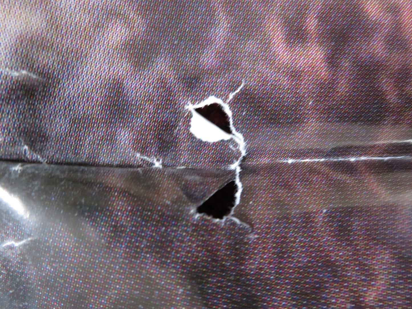 LA CAPTIVE ITALIAN FOGLIO POSTER STANISLAS MERHAR SYLVIE TESTUD 2000 Rendezvous Cinema Movie posters