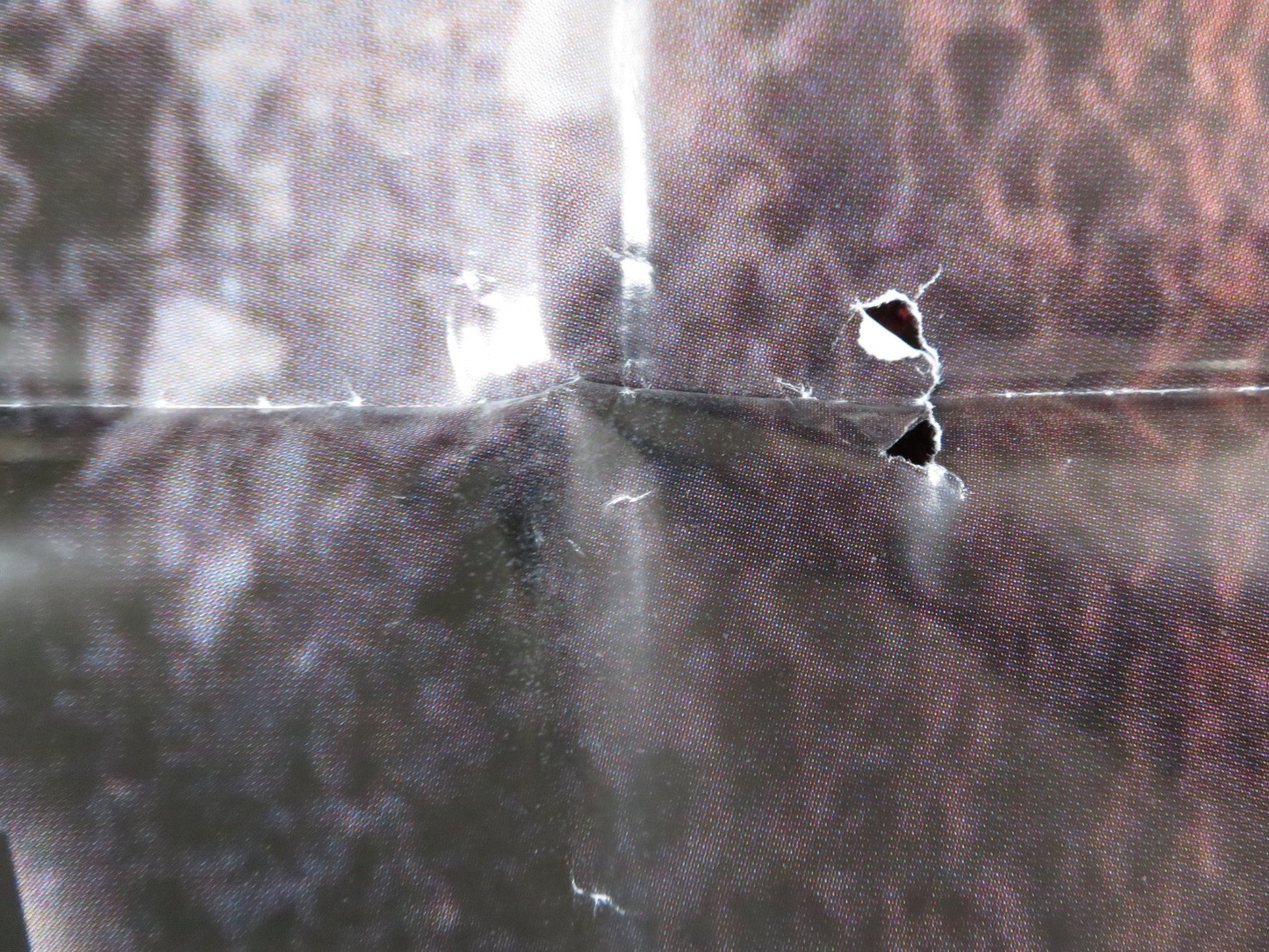 LA CAPTIVE ITALIAN FOGLIO POSTER STANISLAS MERHAR SYLVIE TESTUD 2000 Rendezvous Cinema Movie posters