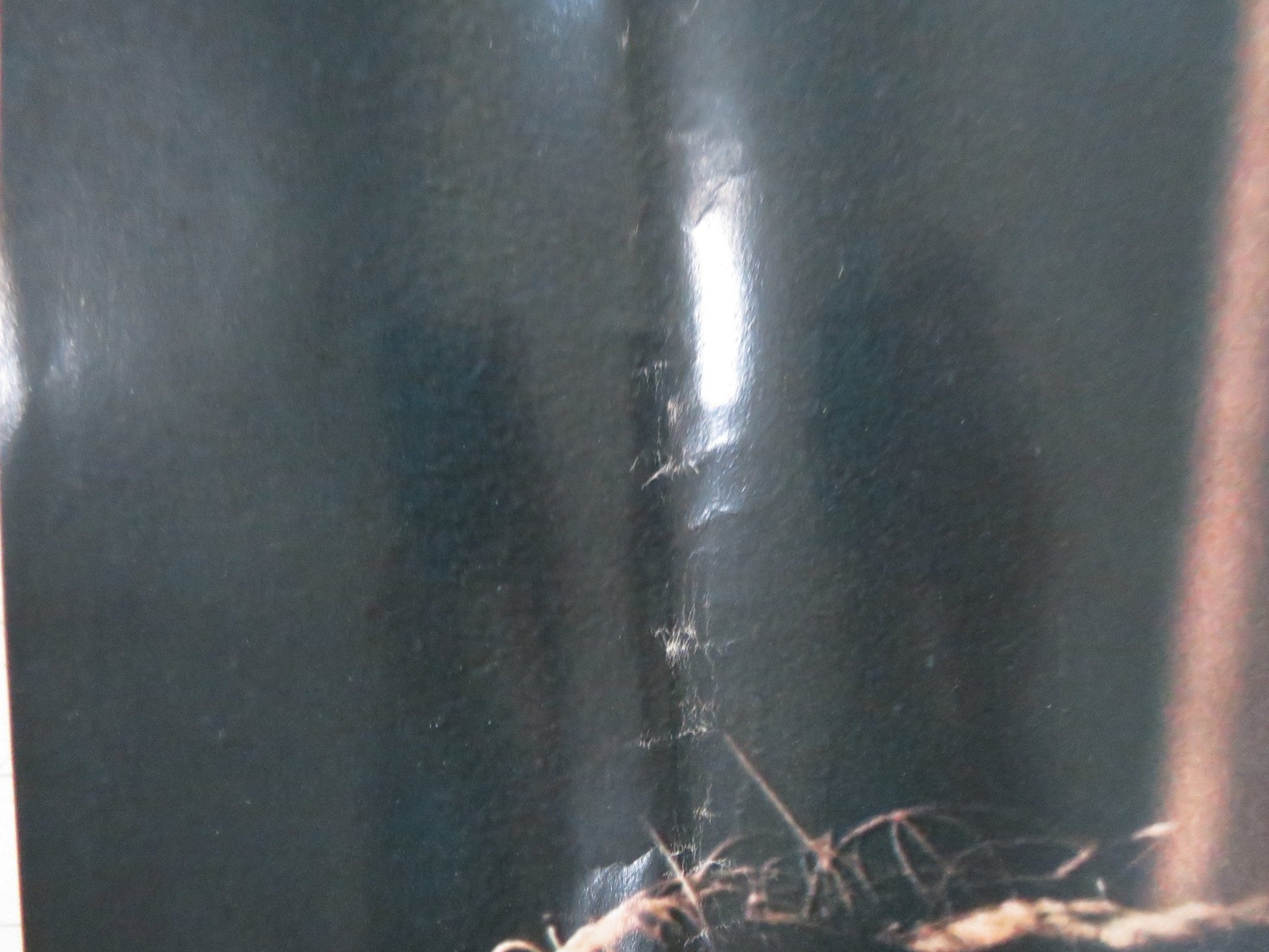 LA DISUBBIDIENZA - A ITALIAN FOTOBUSTA POSTER STEFANIA SANDRELLI M. ADORF 1981 Rendezvous Cinema Movie posters