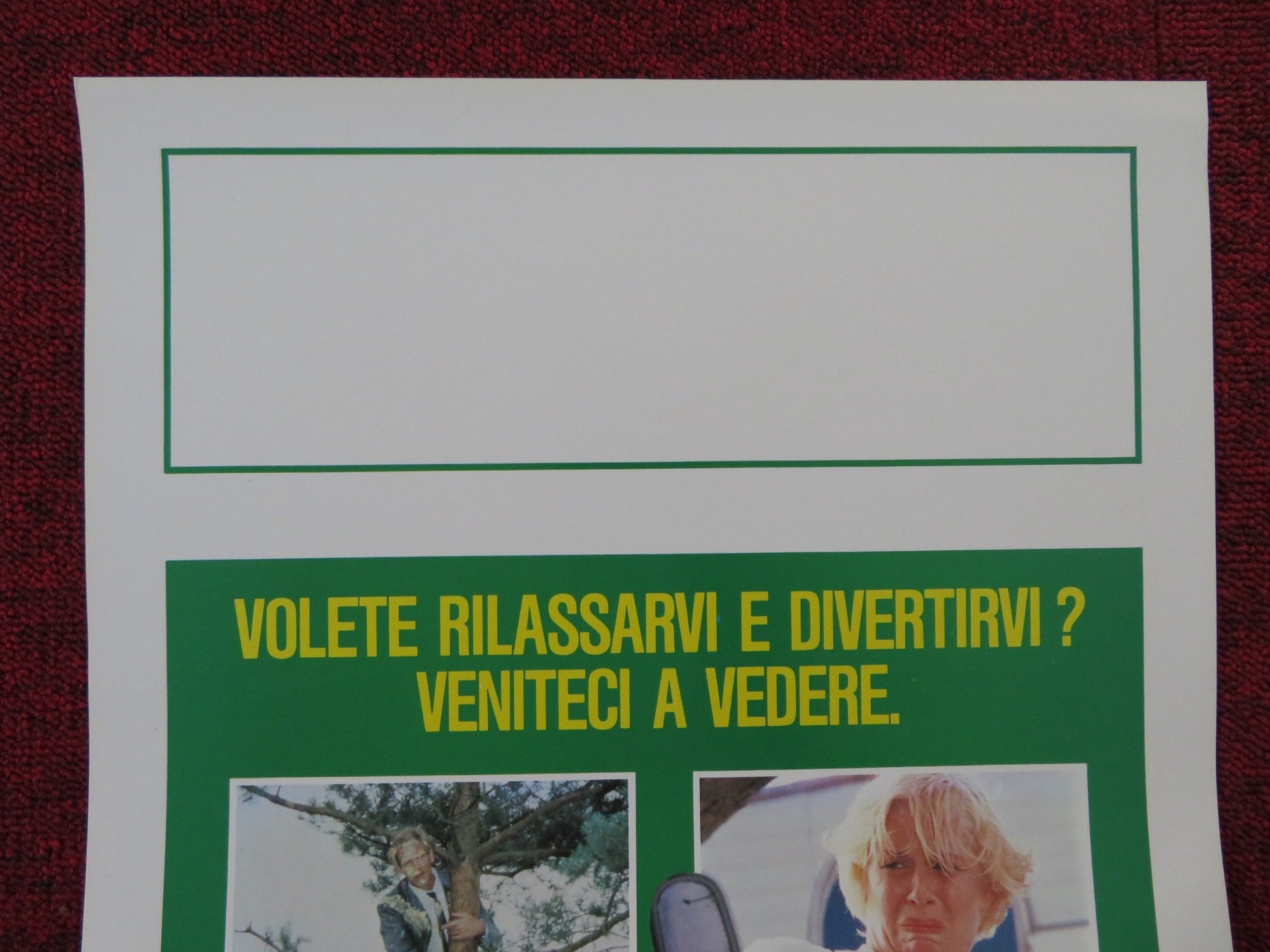 LA FAMIGLIA PIU' PAZZA DEL MONDO ITALIAN LOCANDINA POSTER PETER FABER 1987 Rendezvous Cinema Movie posters