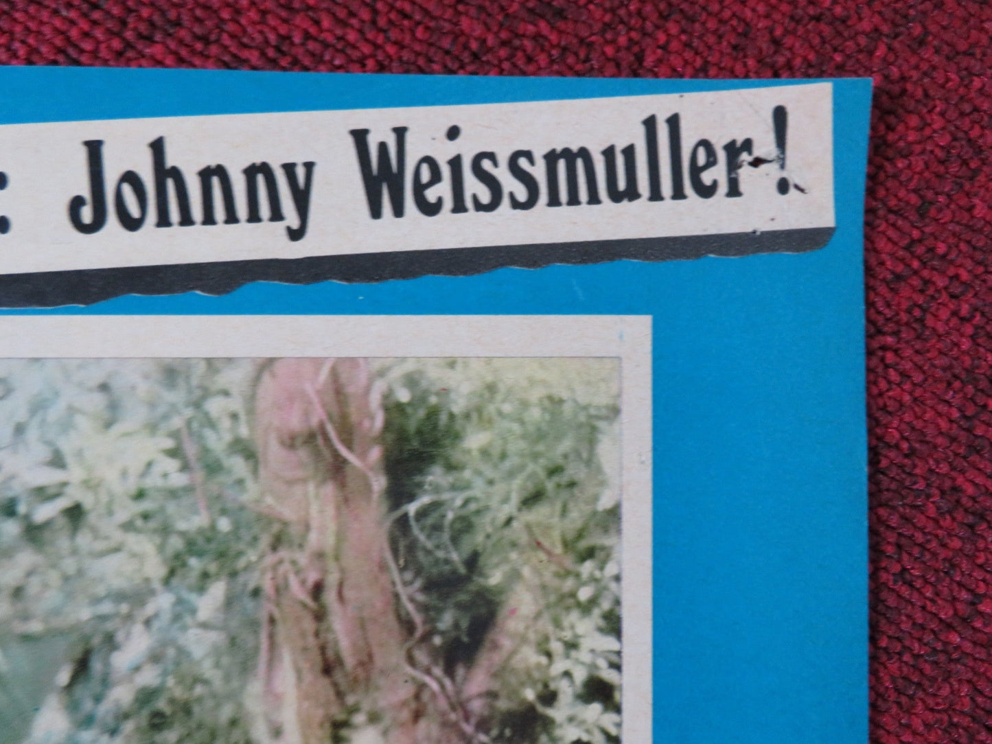 LA FUGA DI TARZAN / TARZAN ESCAPES - A ITALIAN FOTOBUSTA POSTER WEISSMULLE 1954 Rendezvous Cinema Movie posters