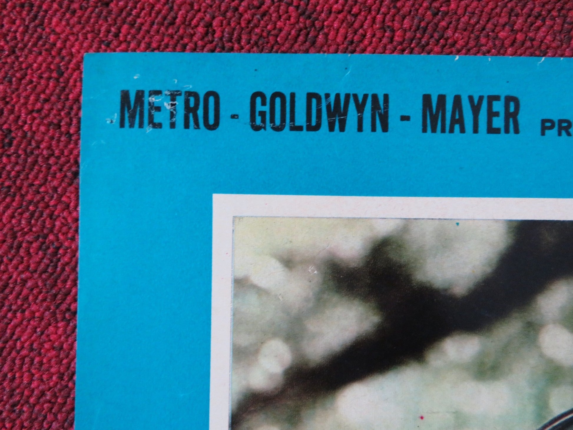 LA FUGA DI TARZAN / TARZAN ESCAPES - A ITALIAN FOTOBUSTA POSTER WEISSMULLE 1954 Rendezvous Cinema Movie posters