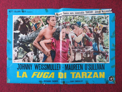 LA FUGA DI TARZAN / TARZAN ESCAPES - B ITALIAN FOTOBUSTA POSTER WEISSMULLE 1954 Rendezvous Cinema Movie posters