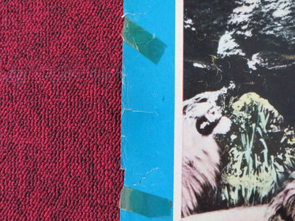 LA FUGA DI TARZAN / TARZAN ESCAPES - B ITALIAN FOTOBUSTA POSTER WEISSMULLE 1954 Rendezvous Cinema Movie posters