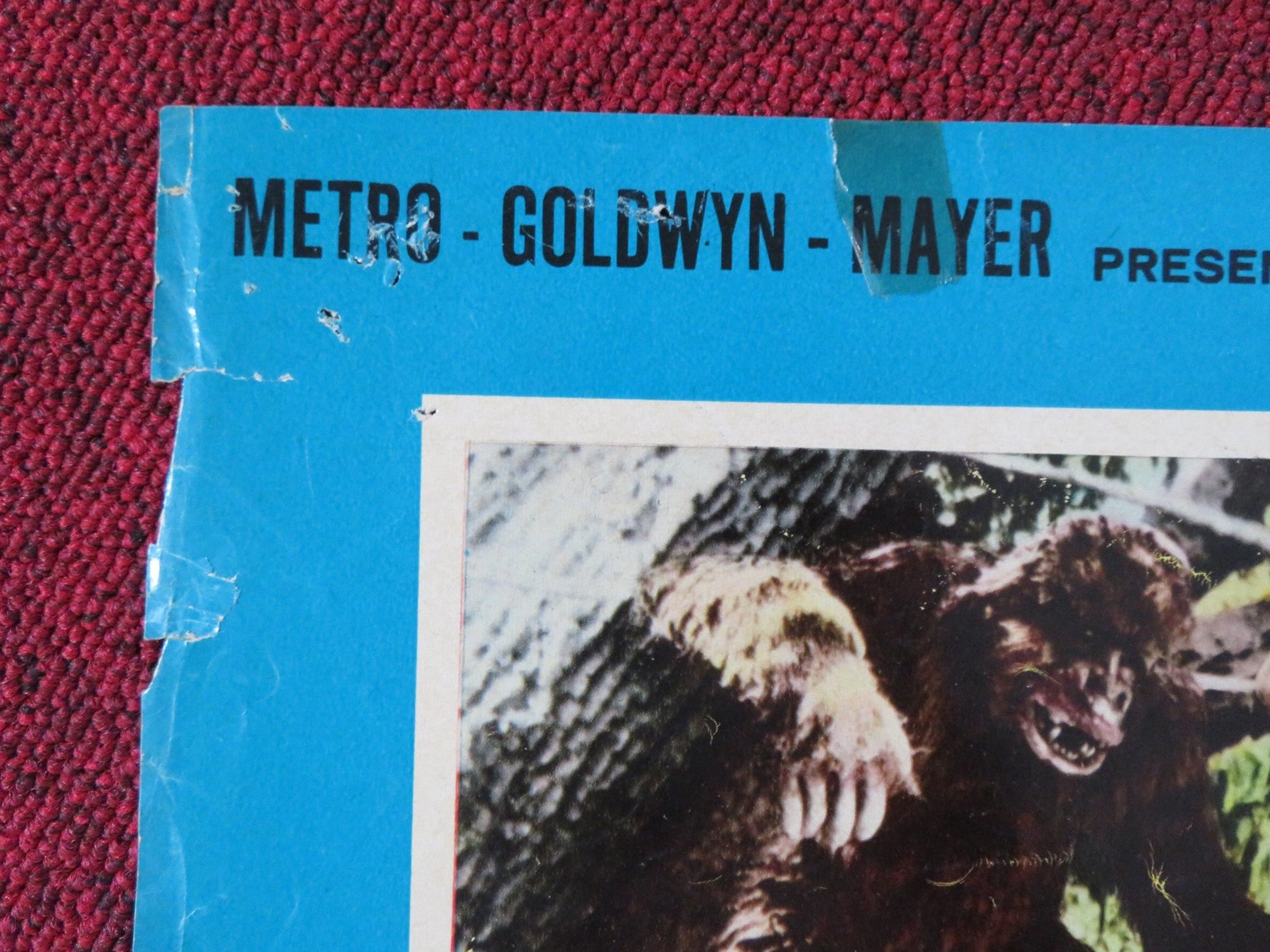 LA FUGA DI TARZAN / TARZAN ESCAPES - B ITALIAN FOTOBUSTA POSTER WEISSMULLE 1954 Rendezvous Cinema Movie posters