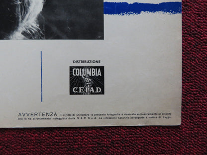 LA MALAVITA DEL PORTO ITALIAN FOTOBUSTA POSTER RENE MUGICA 1963 Rendezvous Cinema Movie posters