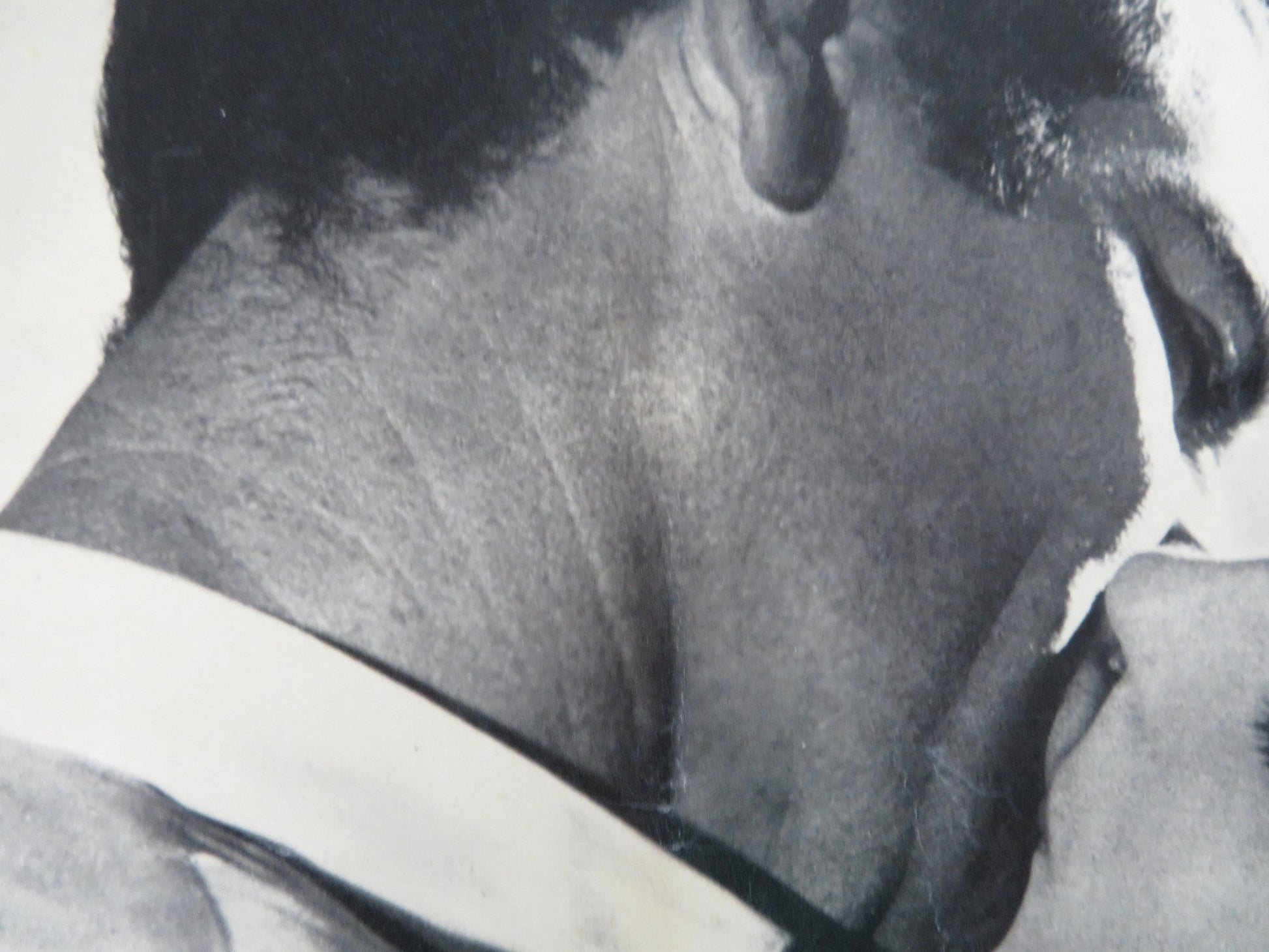 LA MALAVITA DEL PORTO ITALIAN FOTOBUSTA POSTER RENE MUGICA 1963 Rendezvous Cinema Movie posters