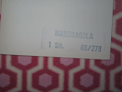 LA MANDRAGOLA US ONE SHEET POSTER ROSANNA SCHIAFFINO 1966 Movie posters