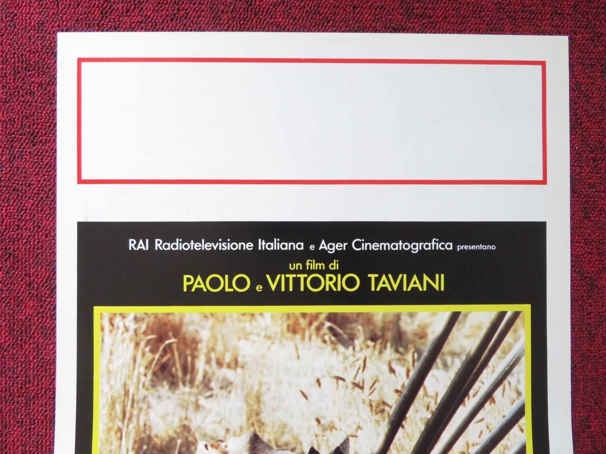 LA NOTTE DI SAN LORENZO ITALIAN LOCANDINA POSTER OMERO ANTONUTTI 1982 Rendezvous Cinema Movie posters