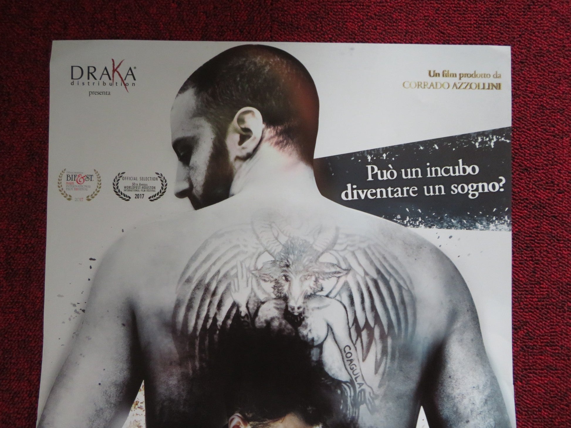 LA RAGAZZA DEI MIEI SOGNI ITALIAN LOCANDINA POSTER REGGIANI GIOVANELLI 2017 Rendezvous Cinema Movie posters