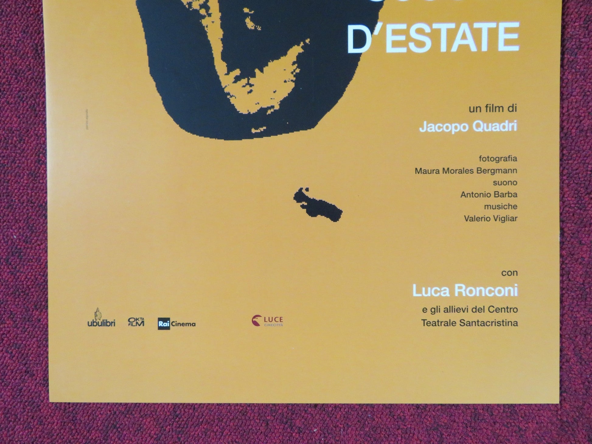 LA SCUOLA D'ESTATE ITALIAN LOCANDINA POSTER LUCA RONCONI IVAN ALOVISIO 2014 Rendezvous Cinema Movie posters