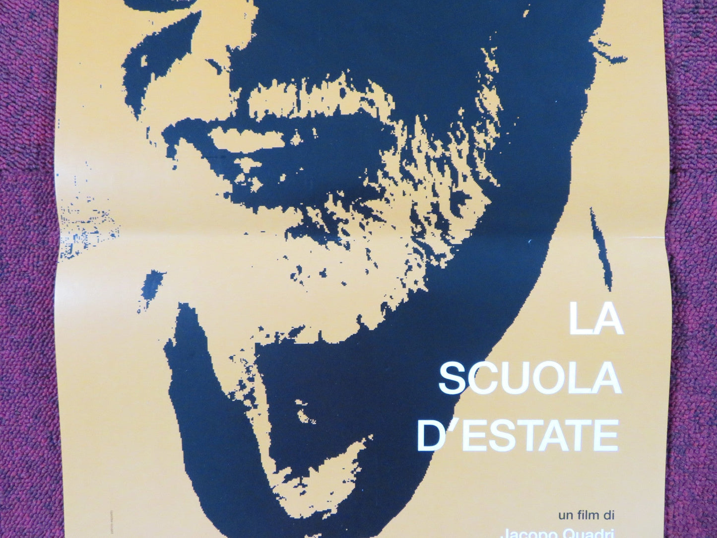 LA SCUOLA D'ESTATE ITALIAN LOCANDINA POSTER LUCA RONCONI IVAN ALOVISIO 2014 Rendezvous Cinema Movie posters