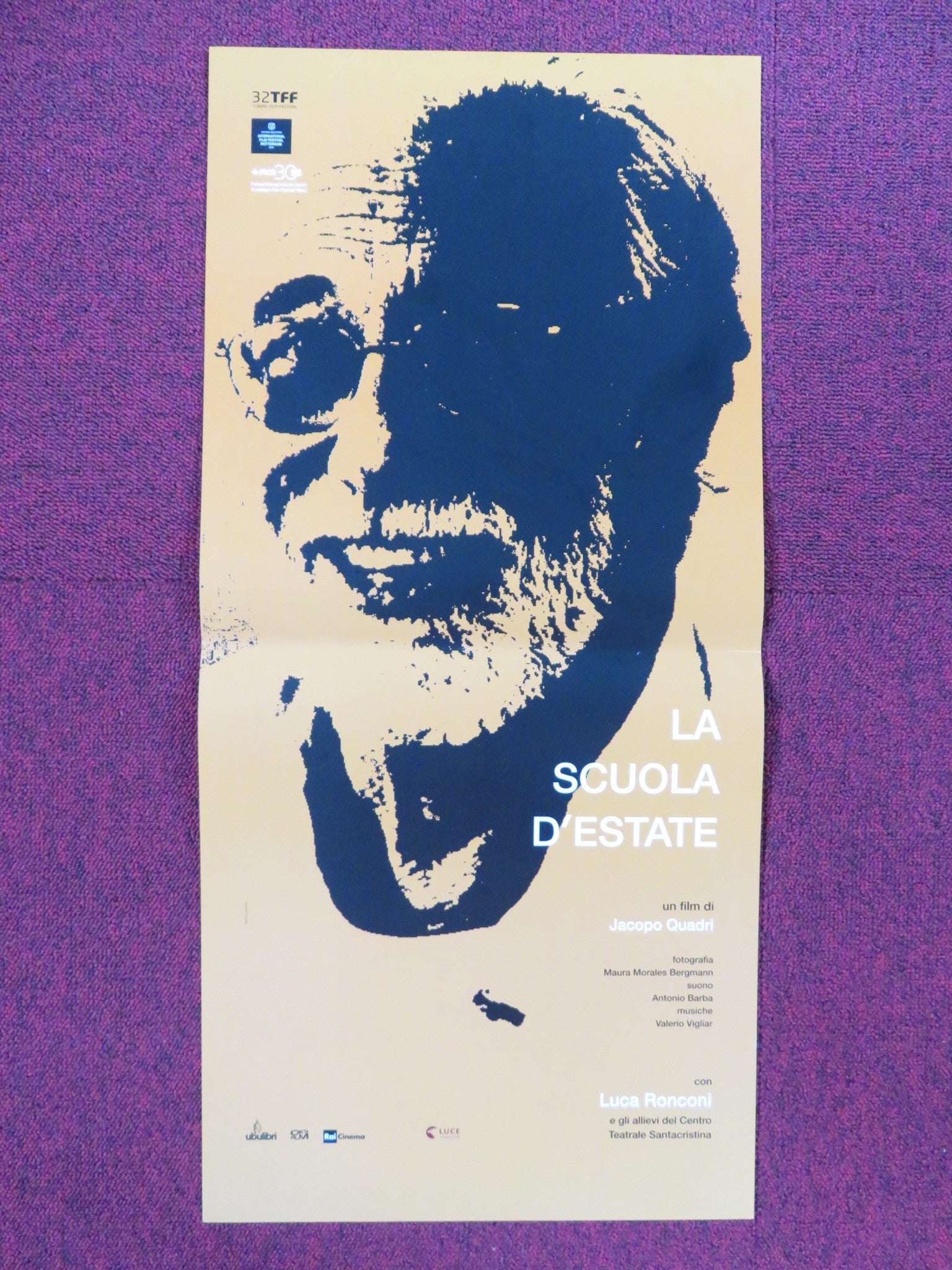 LA SCUOLA D'ESTATE ITALIAN LOCANDINA POSTER LUCA RONCONI IVAN ALOVISIO 2014 Rendezvous Cinema Movie posters