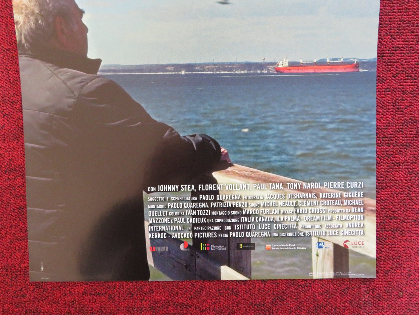 LA SECONDA PATRIA ITALIAN LOCANDINA POSTER JOHNNY STEA FLORENT VOLLANT 2019 Rendezvous Cinema Movie posters