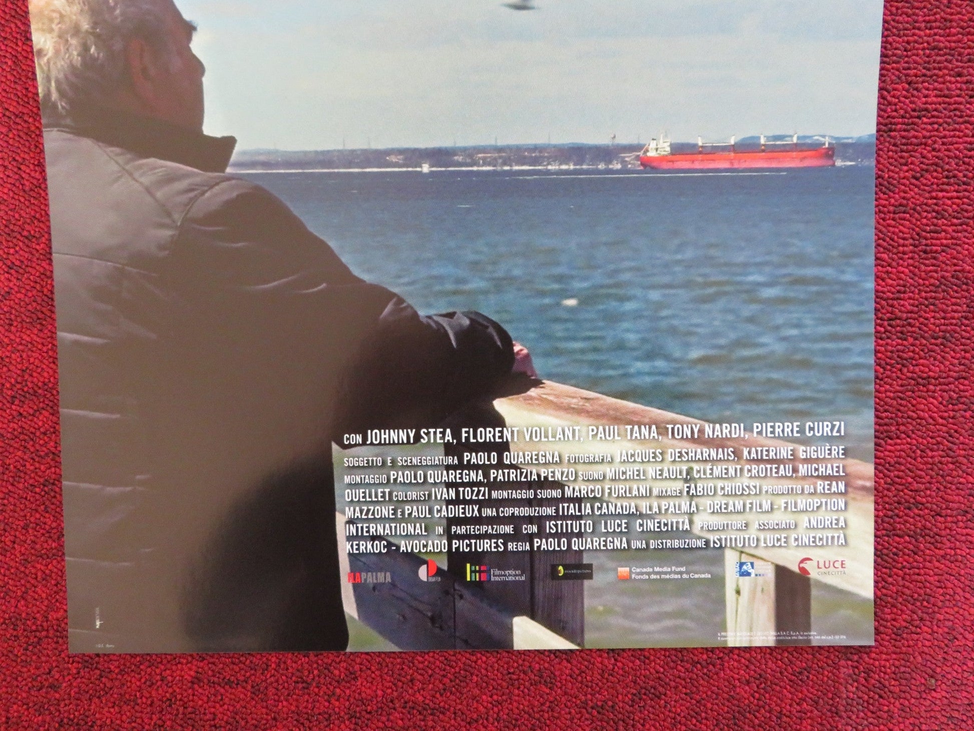 LA SECONDA PATRIA ITALIAN LOCANDINA POSTER JOHNNY STEA FLORENT VOLLANT 2019 Rendezvous Cinema Movie posters