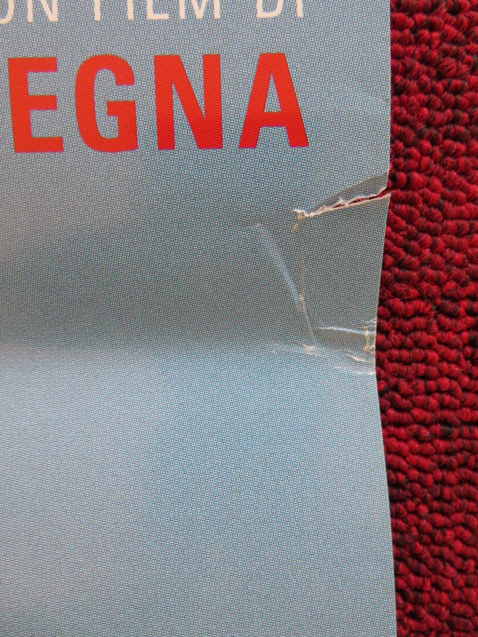 LA SECONDA PATRIA ITALIAN LOCANDINA POSTER JOHNNY STEA FLORENT VOLLANT 2019 Rendezvous Cinema Movie posters