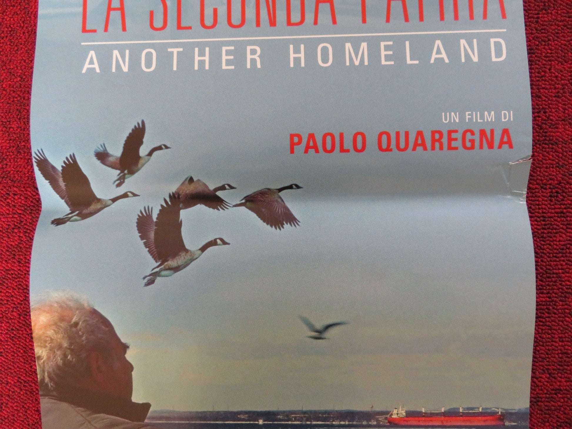 LA SECONDA PATRIA ITALIAN LOCANDINA POSTER JOHNNY STEA FLORENT VOLLANT 2019 Rendezvous Cinema Movie posters