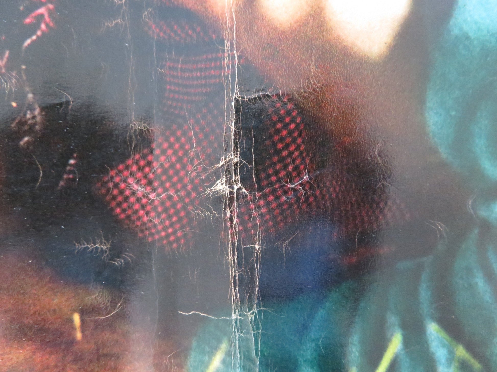 LA VENGANZA - B ITALIAN FOTOBUSTA POSTER CARMAN SEVILLA RAF VALLONE 1958 Rendezvous Cinema Movie posters