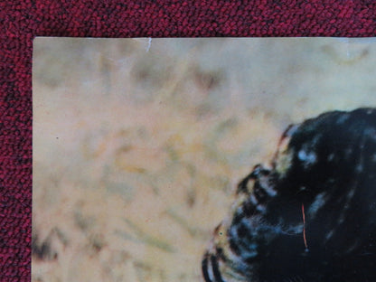 LA VENGANZA - B ITALIAN FOTOBUSTA POSTER CARMAN SEVILLA RAF VALLONE 1958 Rendezvous Cinema Movie posters