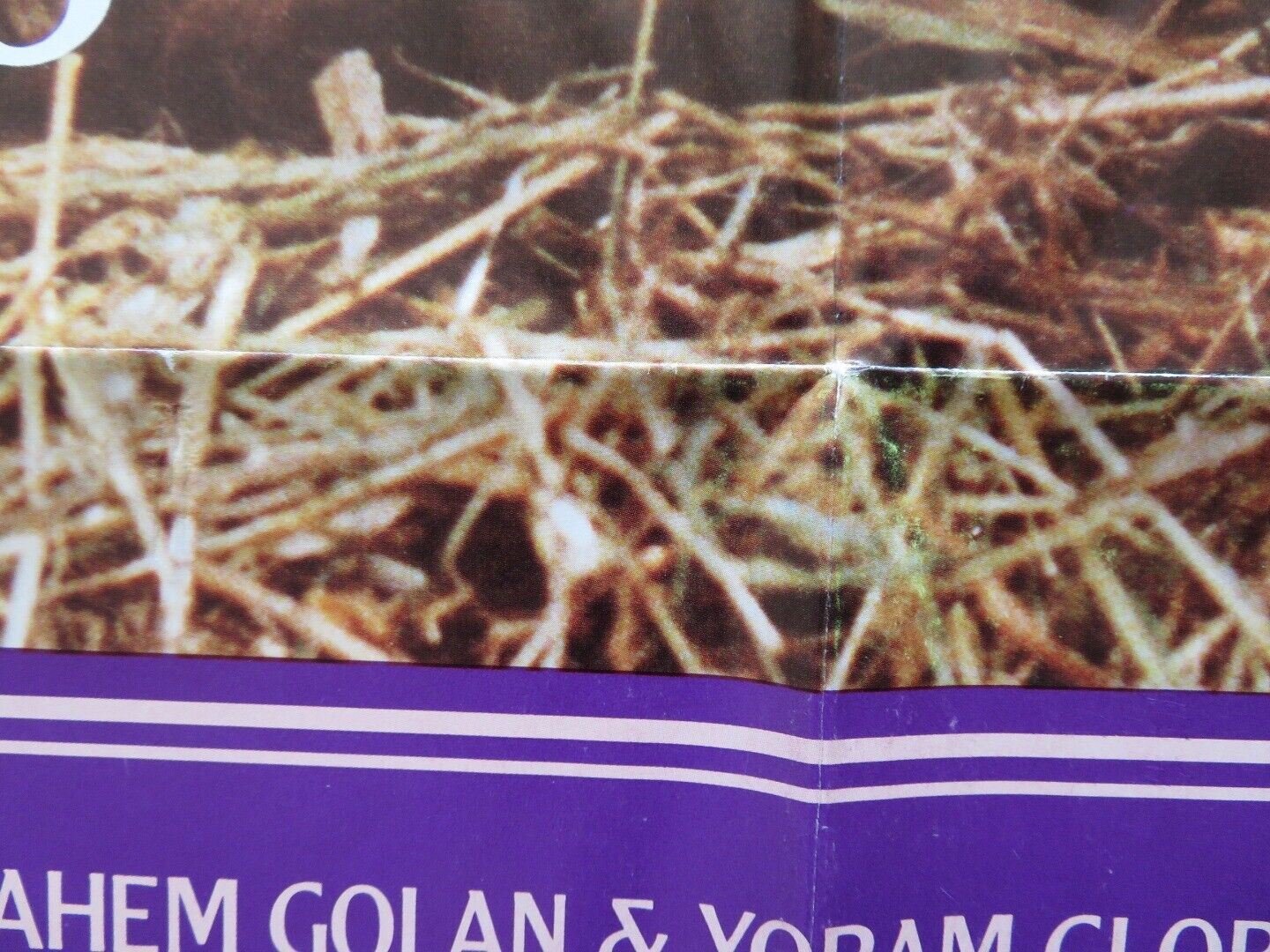 LADY CHATTERLEY'S LOVER FOLDED US ONE SHEET POSTER SYLVIA KRISTEL N. CLAY 1981 Movie posters