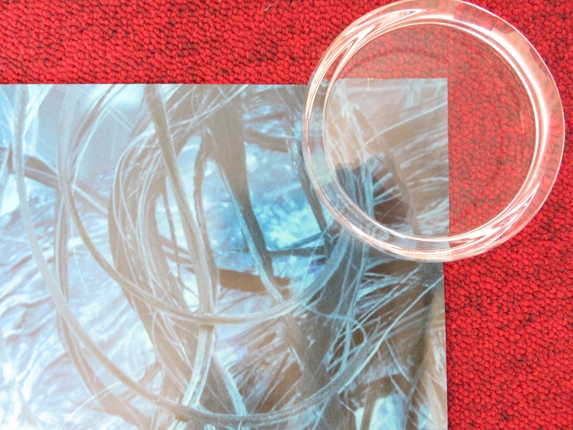 LADY IN THE WATER - A UK QUAD (30"x 40") ROLLED POSTER PAUL GIAMATTI 2006 Rendezvous Cinema Movie posters