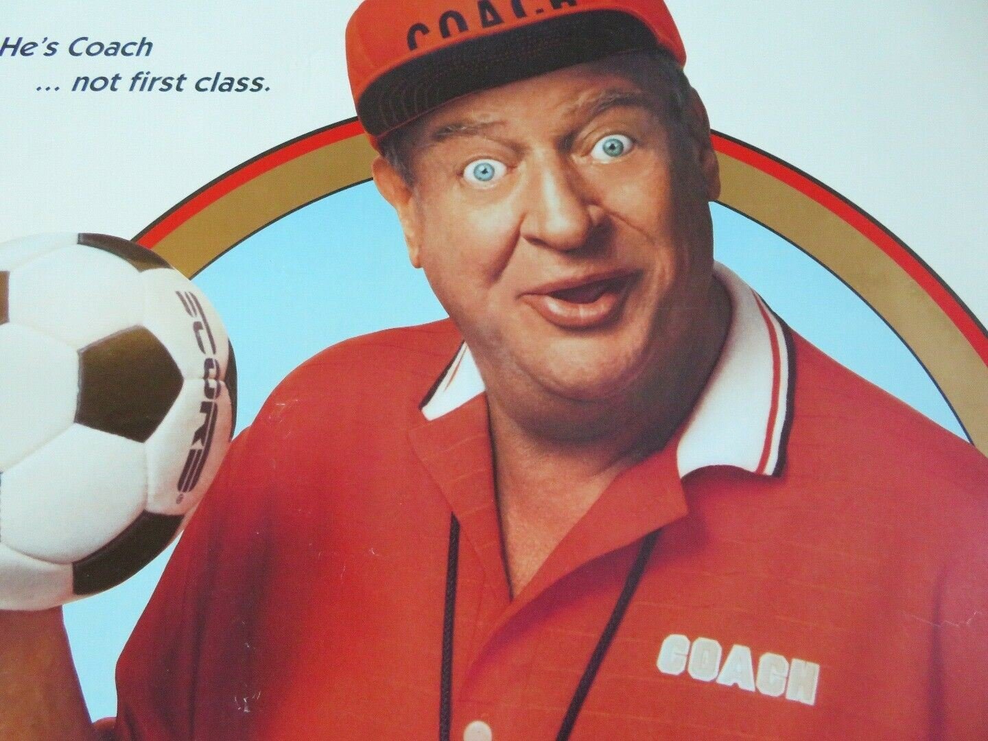 LADYBUGS US ONE SHEET ROLLED POSTER RODNEY DANGERFIELD 1992 Movie posters