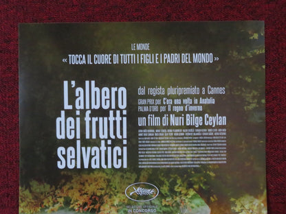 L'ALBERO DEIFRUTTI SELVATICI ITALIAN LOCANDINA POSTER DOGU DEMIRKOL 2018 Rendezvous Cinema Movie posters