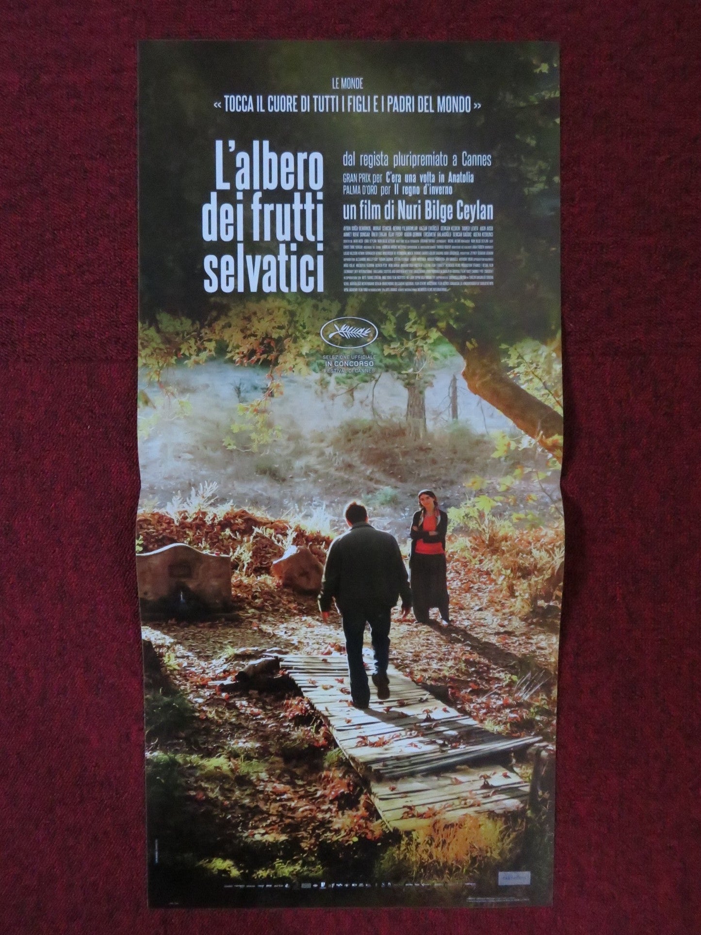 L'ALBERO DEIFRUTTI SELVATICI ITALIAN LOCANDINA POSTER DOGU DEMIRKOL 2018 Rendezvous Cinema Movie posters