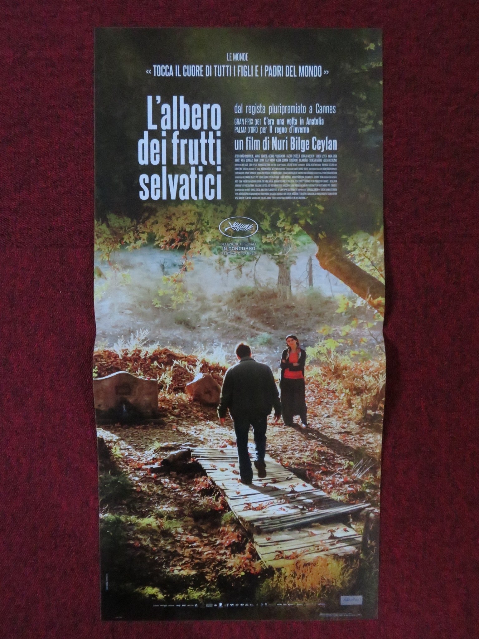 L'ALBERO DEIFRUTTI SELVATICI ITALIAN LOCANDINA POSTER DOGU DEMIRKOL 2018 Rendezvous Cinema Movie posters