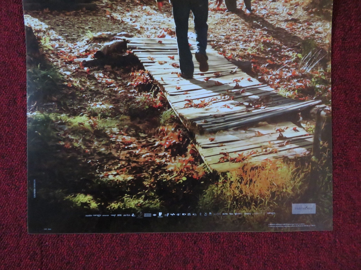 L'ALBERO DEIFRUTTI SELVATICI ITALIAN LOCANDINA POSTER DOGU DEMIRKOL 2018 Rendezvous Cinema Movie posters