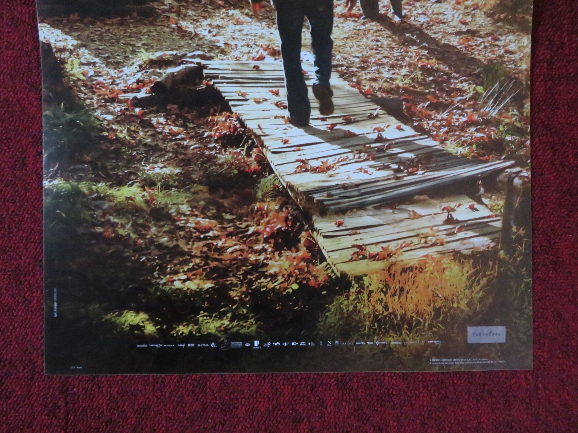 L'ALBERO DEIFRUTTI SELVATICI ITALIAN LOCANDINA POSTER DOGU DEMIRKOL 2018 Rendezvous Cinema Movie posters