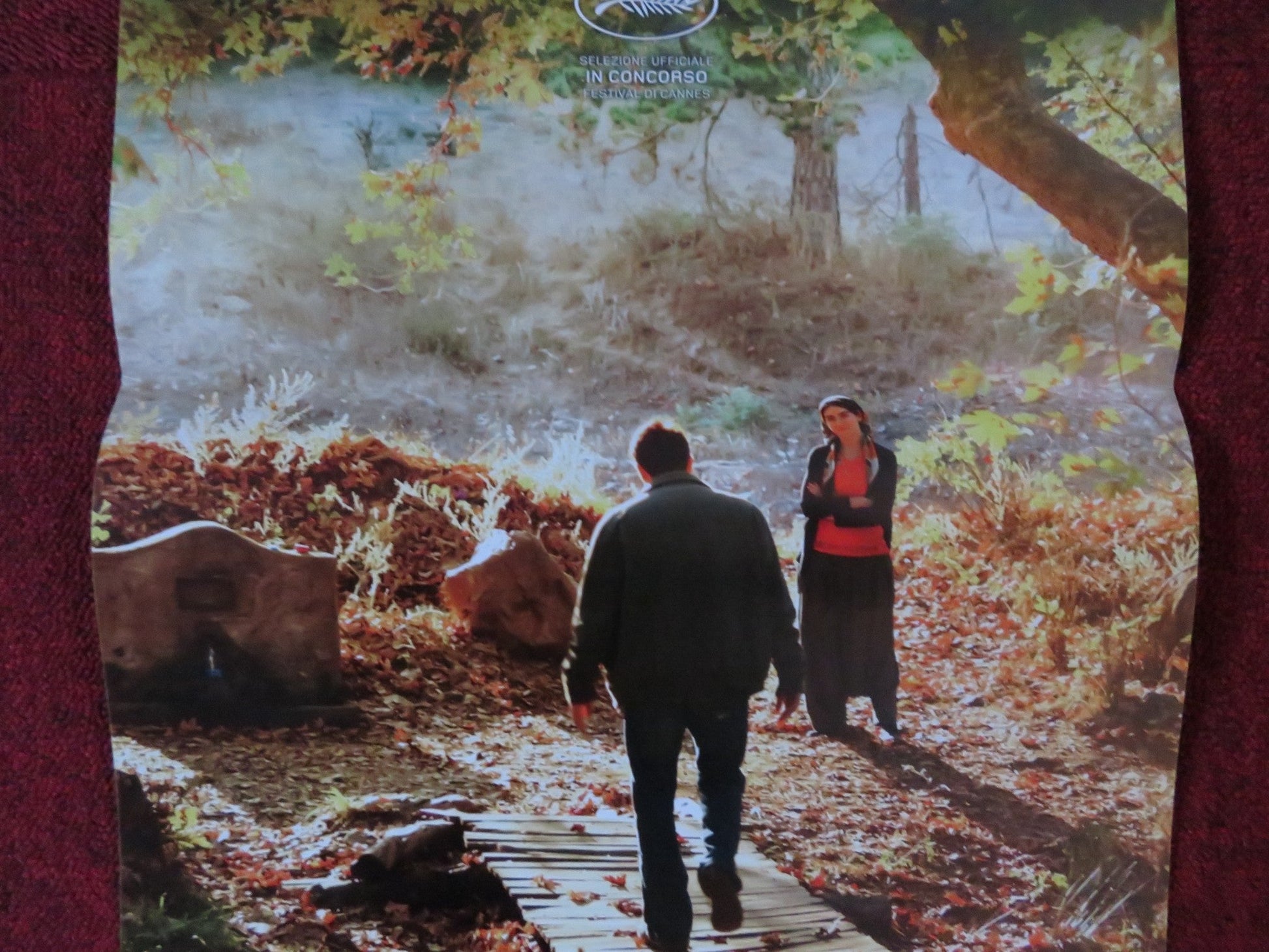 L'ALBERO DEIFRUTTI SELVATICI ITALIAN LOCANDINA POSTER DOGU DEMIRKOL 2018 Rendezvous Cinema Movie posters