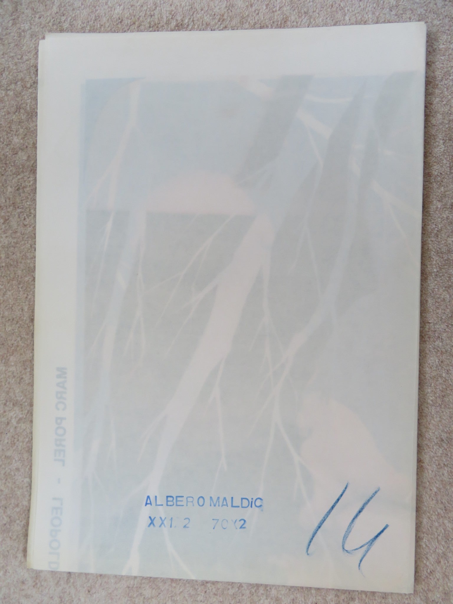 L'ALBERO DELLA MALDICENZA ITALIAN 2 FOGLIO POSTER MARC POREL L. TRIESTE 1979 Rendezvous Cinema Movie posters