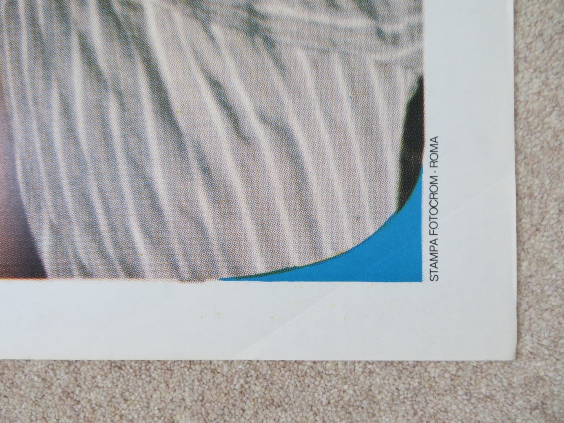 L'ALBERO DELLA MALDICENZA ITALIAN 2 FOGLIO POSTER MARC POREL L. TRIESTE 1979 Rendezvous Cinema Movie posters