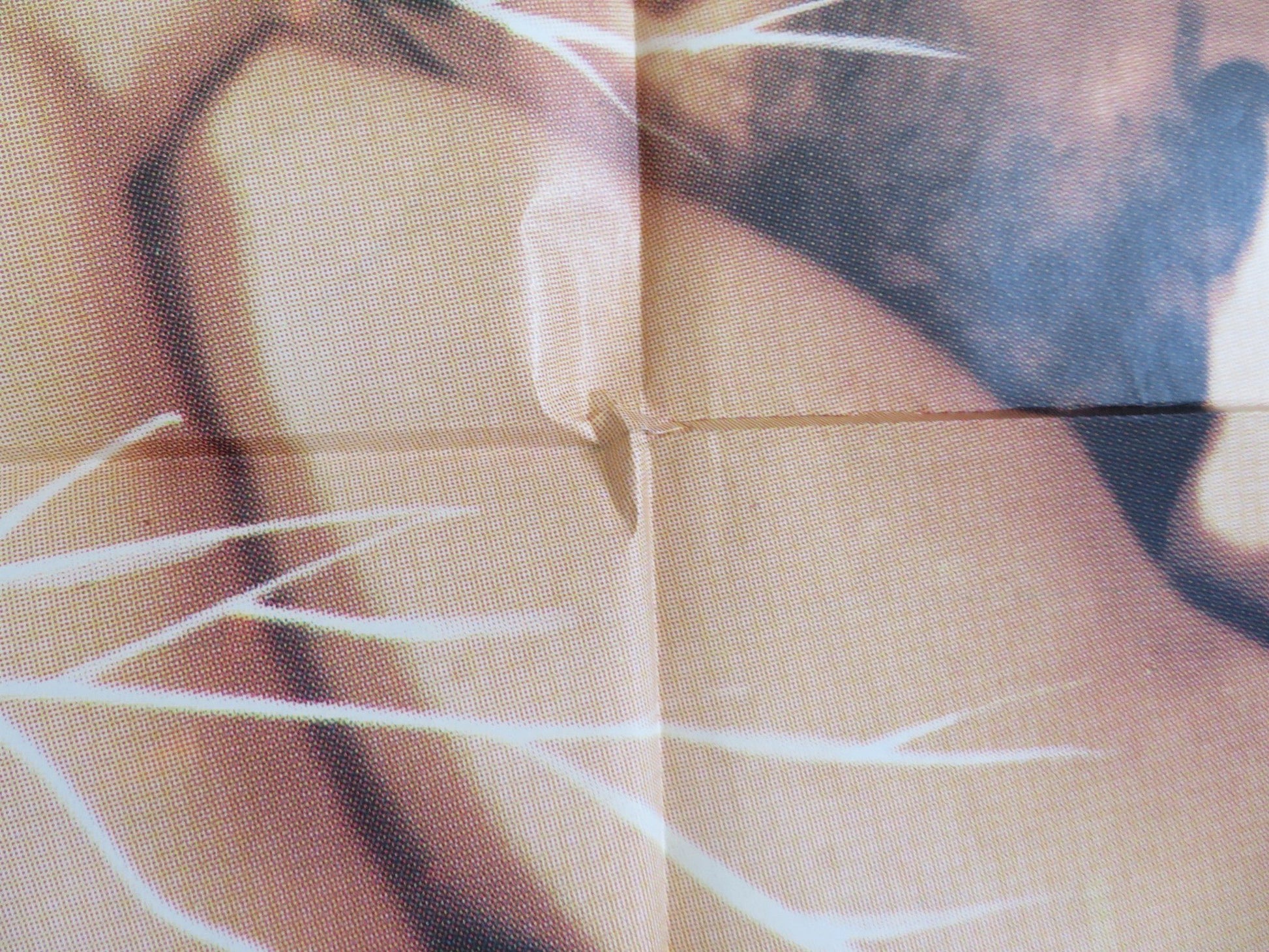 L'ALBERO DELLA MALDICENZA ITALIAN 2 FOGLIO POSTER MARC POREL L. TRIESTE 1979 Rendezvous Cinema Movie posters