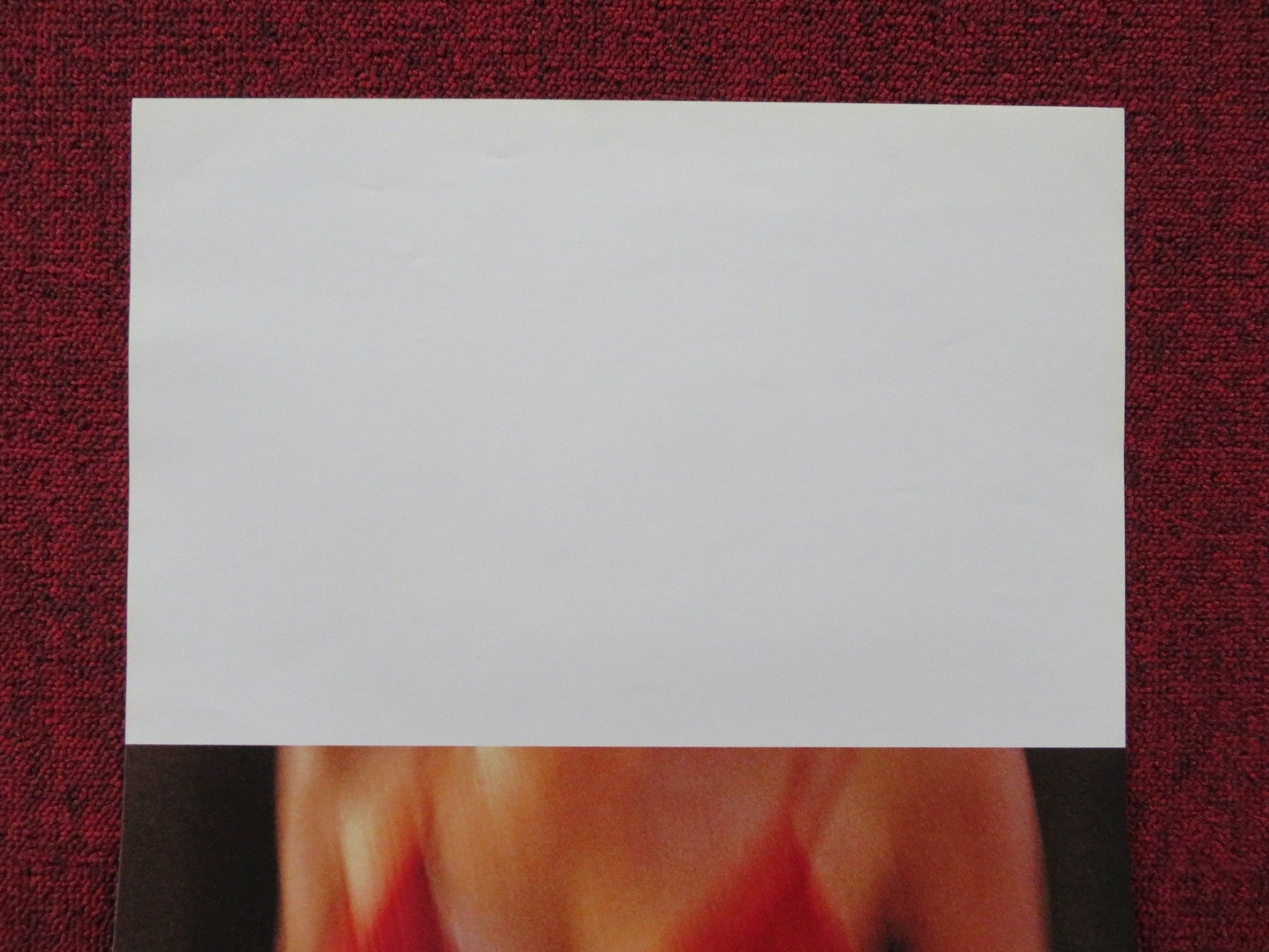 L'AMORE MOLESTO ITALIAN LOCANDINA POSTER ANNA BONAIUTO ANGELA LUCE 1995 Rendezvous Cinema Movie posters