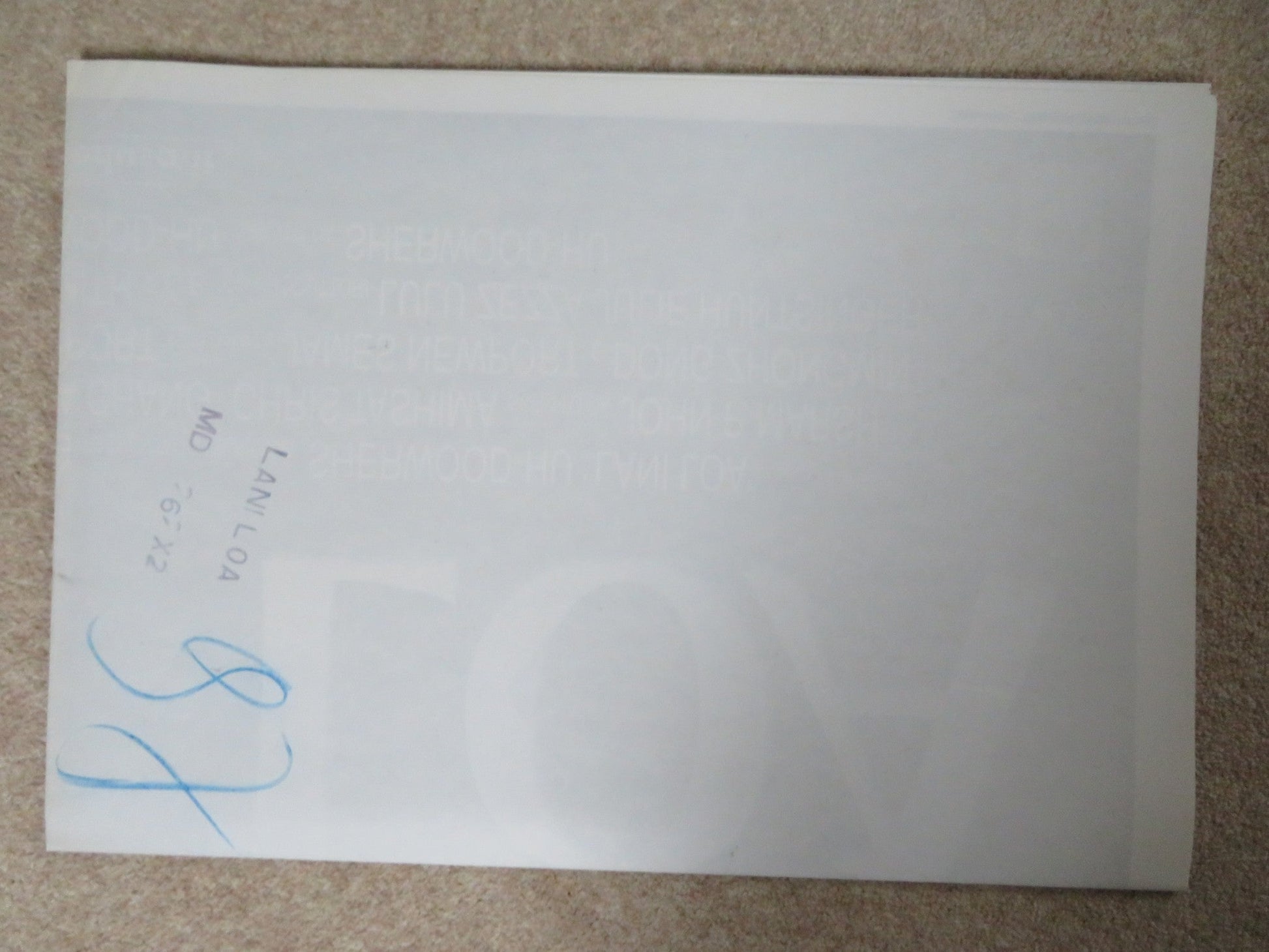 LANI LOA ITALIAN 2 FOGLIO POSTER ANGUS MACFAYDEN CARLOTTA CHANG 1998 Rendezvous Cinema Movie posters