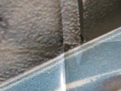 LANI LOA ITALIAN 2 FOGLIO POSTER ANGUS MACFAYDEN CARLOTTA CHANG 1998 Rendezvous Cinema Movie posters