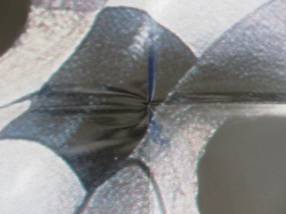 LANI LOA ITALIAN 2 FOGLIO POSTER ANGUS MACFAYDEN CARLOTTA CHANG 1998 Rendezvous Cinema Movie posters