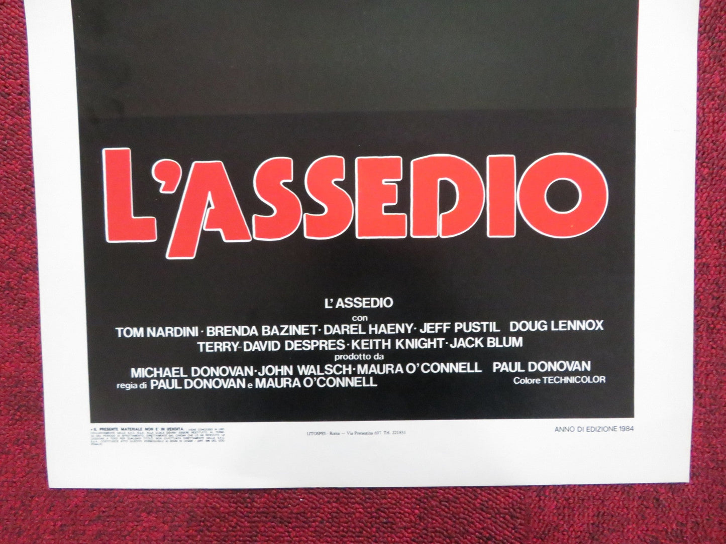 L'ASSEDIO / SIEGE - SELF DEFENCE ITALIAN LOCANDINA POSTER TOM NARDINI 1984 Rendezvous Cinema Movie posters
