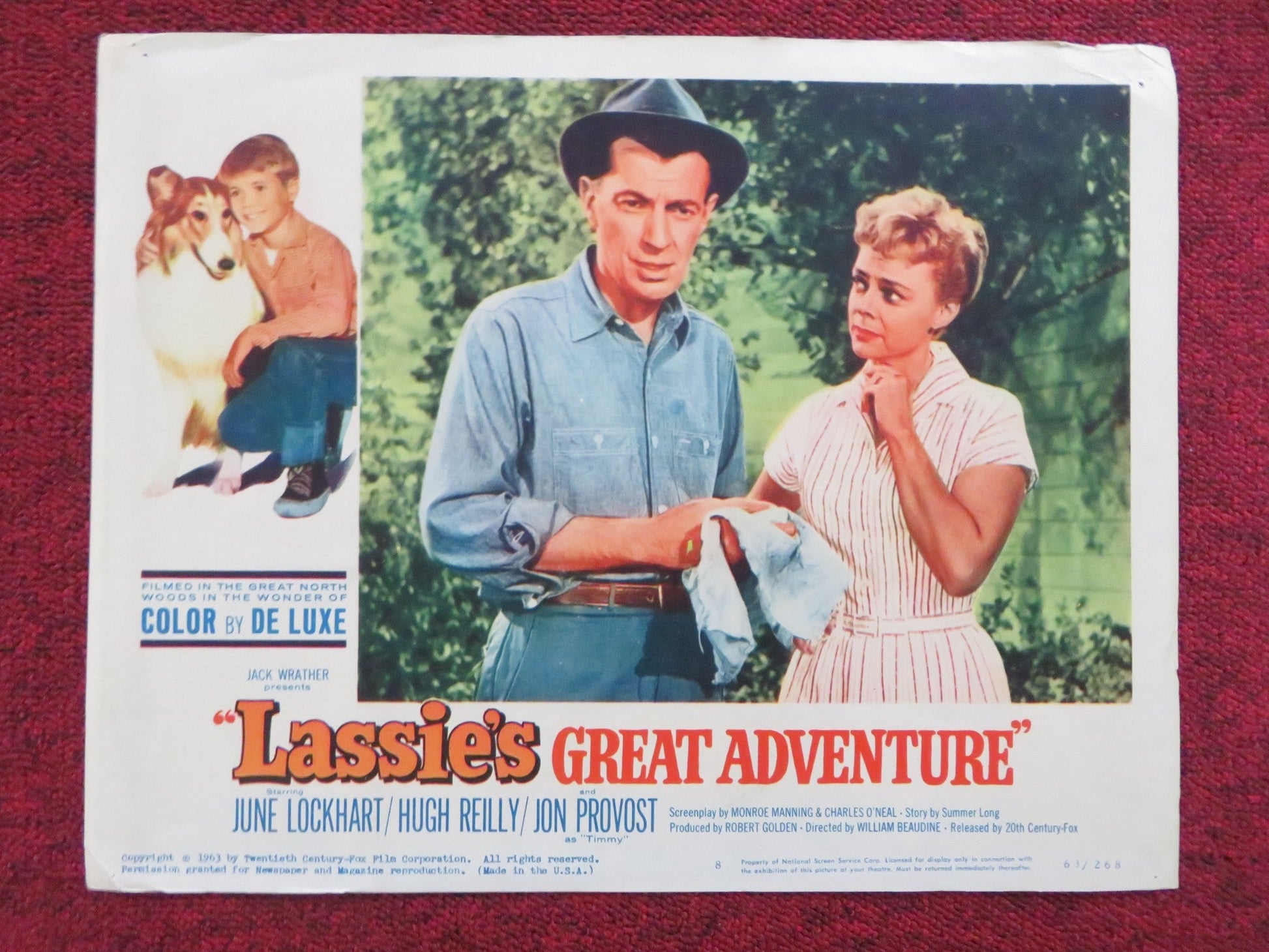 LASSIE'S GREAT ADVENTURE US LOBBY CARD FULL SET JUNE LOCKHART HUGH REILLY 1963 Rendezvous Cinema Movie posters